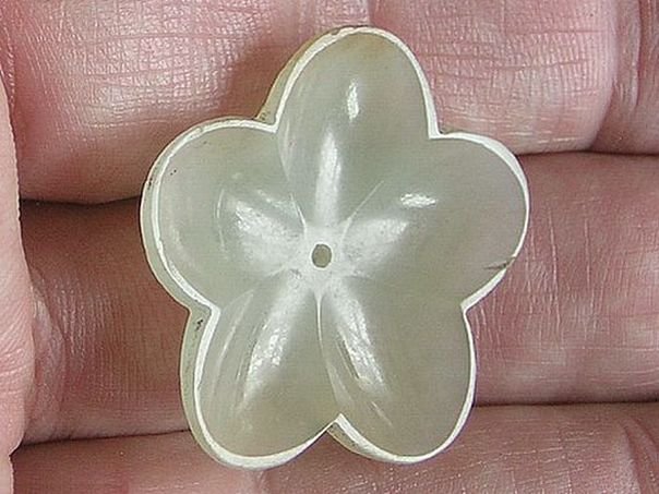 Flower  77 - (6332)
